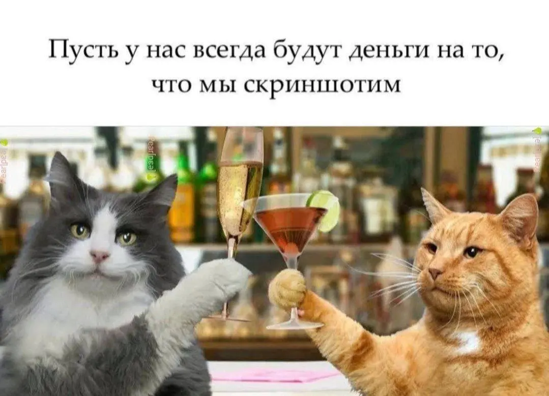 День 119
🔤 занималась английским
🔤 чувствовала солнышко на лице | Сетка — социальная сеть от hh.ru