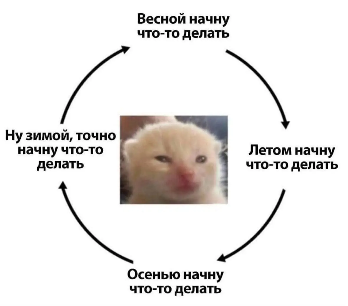 "Уже конец года, начну со следующего" 😂😂😂
#Юмор@poldner #Коты@poldner | Сетка — социальная сеть от hh.ru