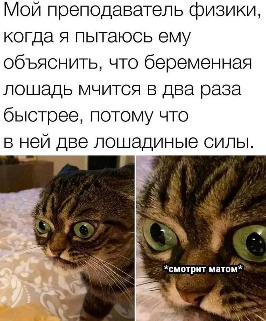 Врываемся в праздники на вск лошадиные силы | Сетка — социальная сеть от hh.ru
