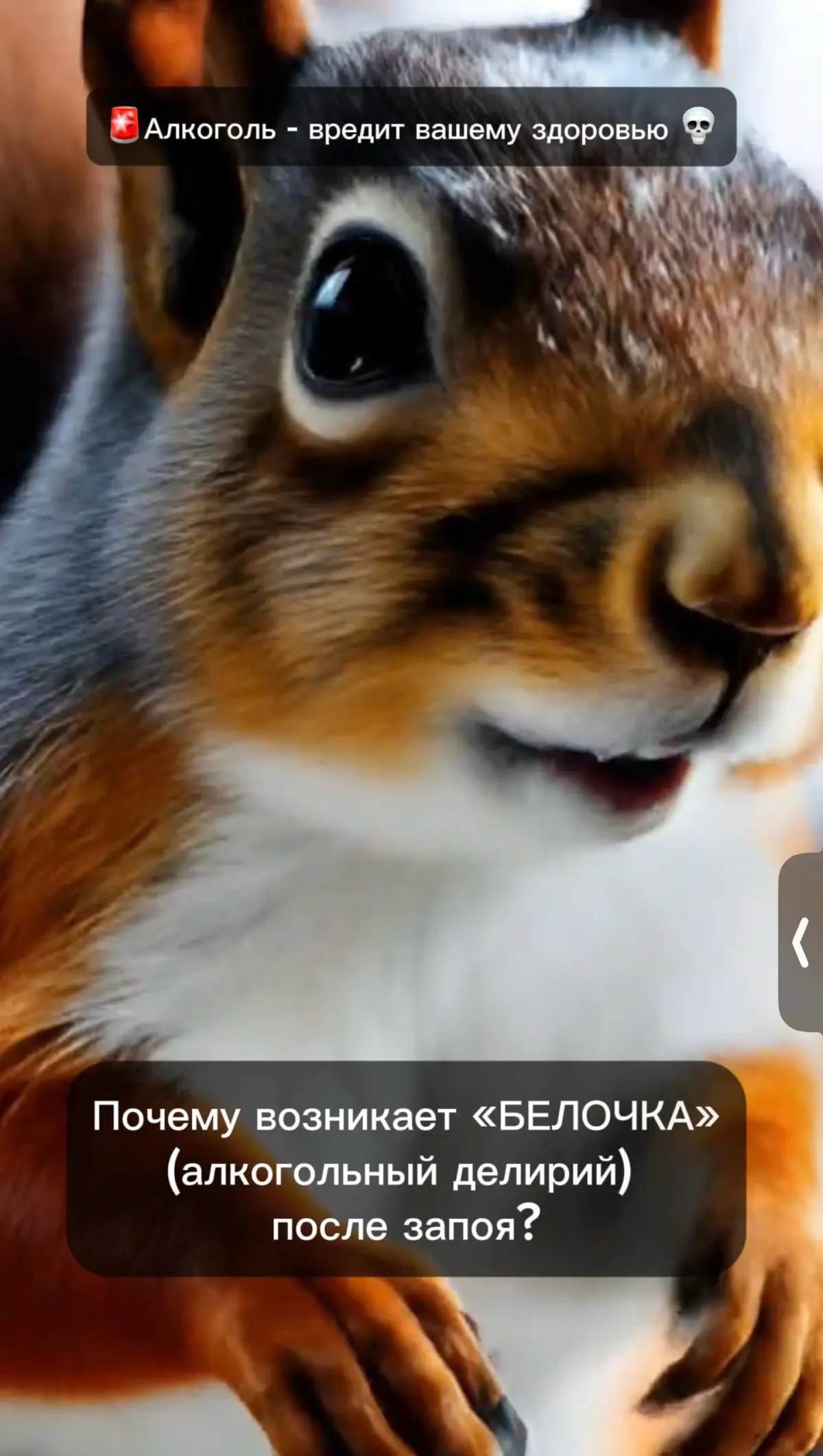 🐿️ Почему возникает «белочка» (алкогольный делирий) после запоя? Читать ДО и после праздников!
Шикарное Видео в ТГ смотреть👍
Алкогольный делирий — это острое психотическое состояние, которое развивает... | Сетка — социальная сеть от hh.ru