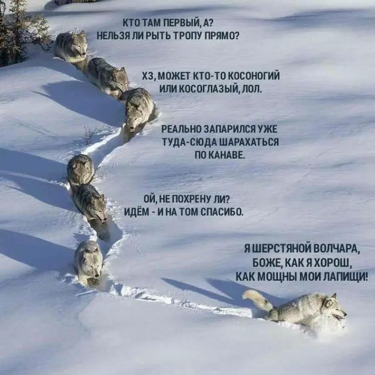 Итоги (F) | Сетка — социальная сеть от hh.ru
