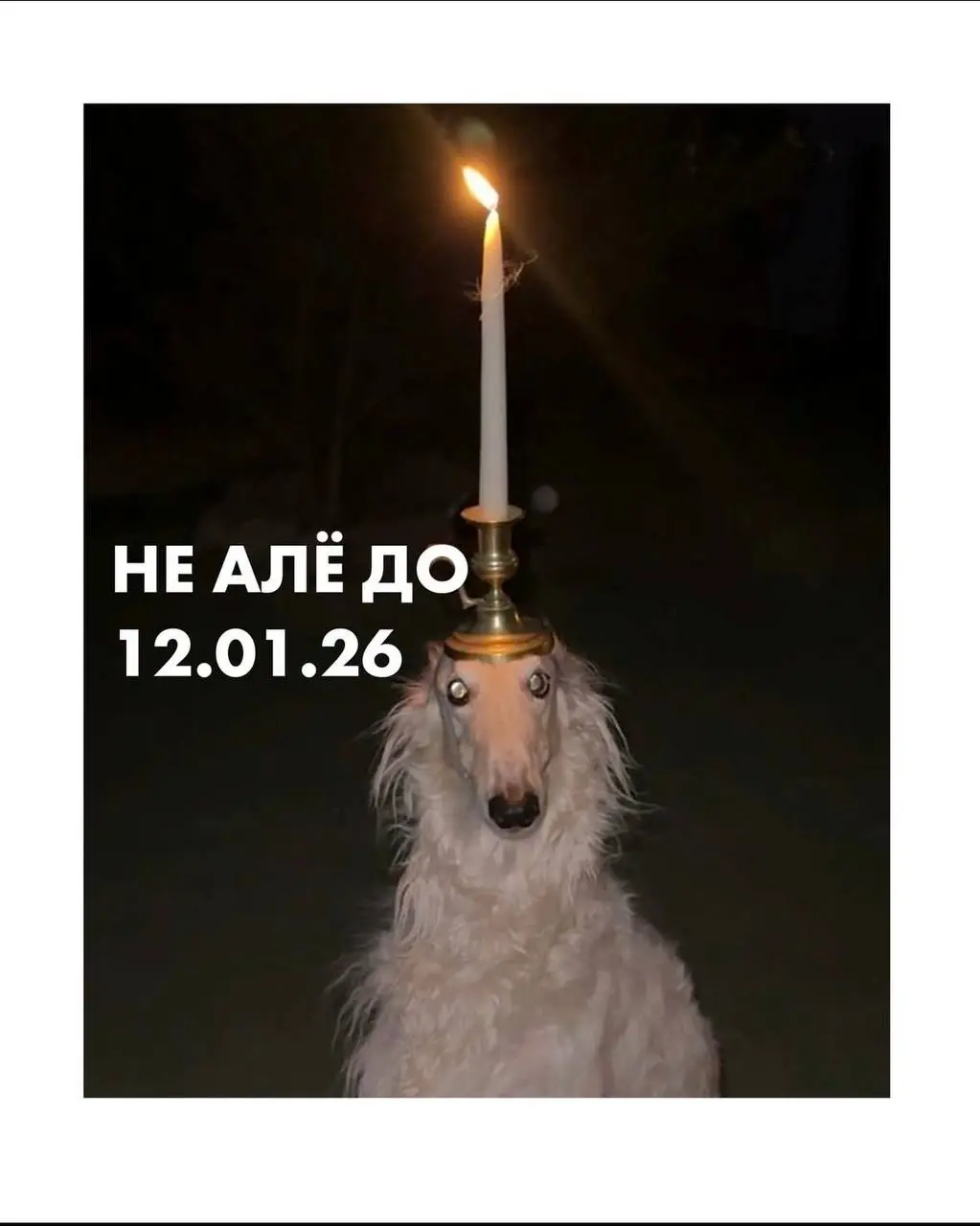 😱Нашла невероятную подборку аватарок для вас, ваших друзей и коллег на новогодние праздники! 🎄🩴⛸️
Уже совсем скоро можно будет взять оливье, который «не трогай, это на новый год» и устроиться в пледик... | Сетка — социальная сеть от hh.ru