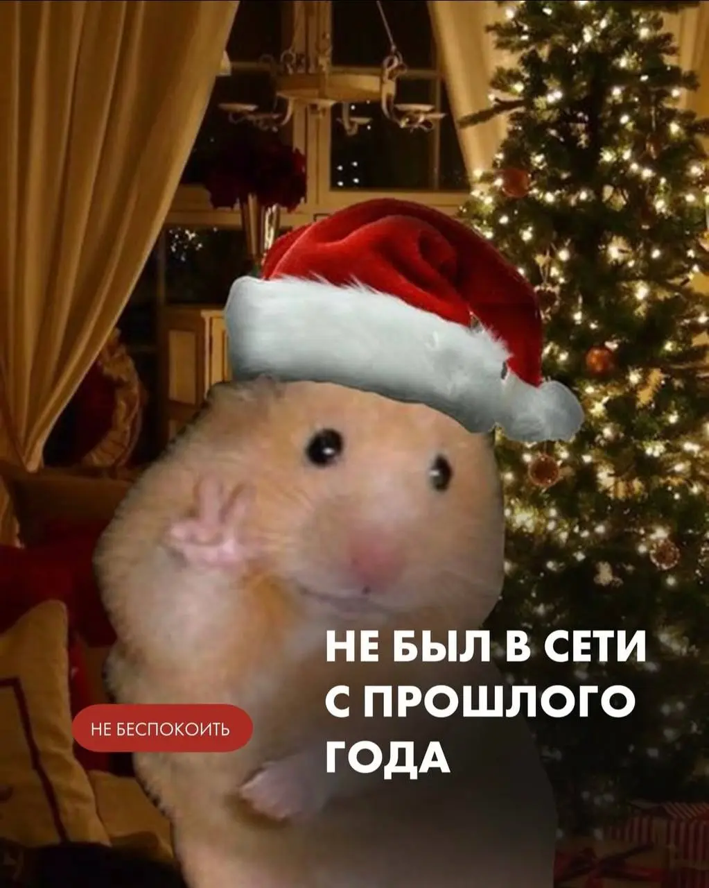 😱Нашла невероятную подборку аватарок для вас, ваших друзей и коллег на новогодние праздники! 🎄🩴⛸️
Уже совсем скоро можно будет взять оливье, который «не трогай, это на новый год» и устроиться в пледик... | Сетка — социальная сеть от hh.ru