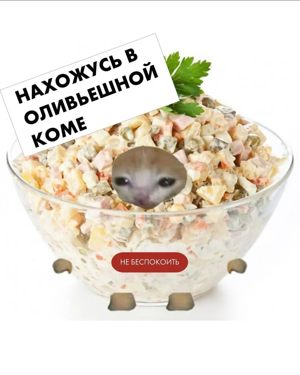 😱Нашла невероятную подборку аватарок для вас, ваших друзей и коллег на новогодние праздники! 🎄🩴⛸️
Уже совсем скоро можно будет взять оливье, который «не трогай, это на новый год» и устроиться в пледик... | Сетка — социальная сеть от hh.ru
