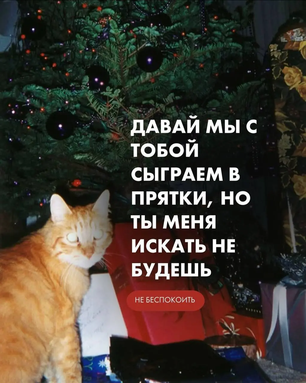 😱Нашла невероятную подборку аватарок для вас, ваших друзей и коллег на новогодние праздники! 🎄🩴⛸️
Уже совсем скоро можно будет взять оливье, который «не трогай, это на новый год» и устроиться в пледик... | Сетка — социальная сеть от hh.ru