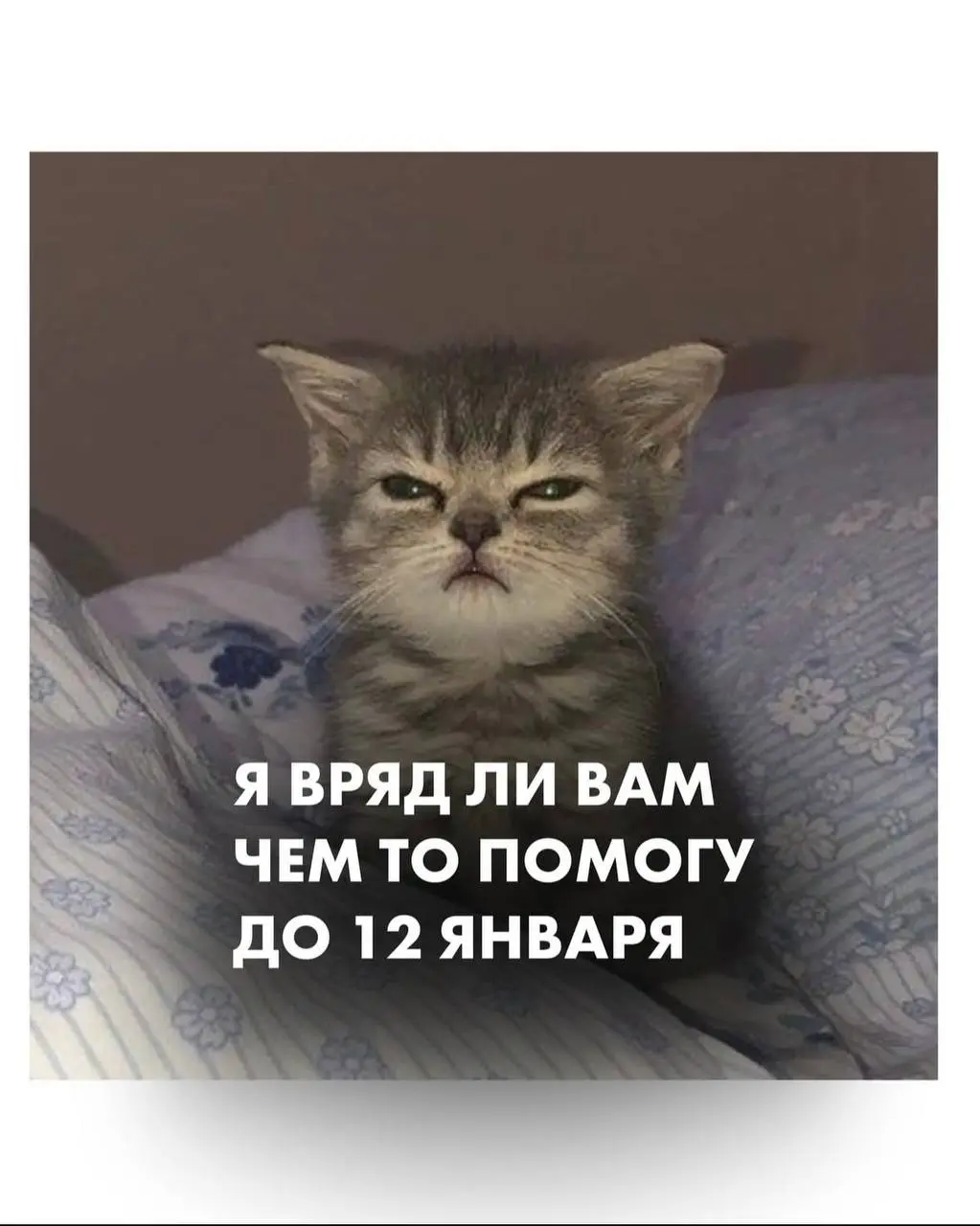 часть 2 | Сетка — социальная сеть от hh.ru