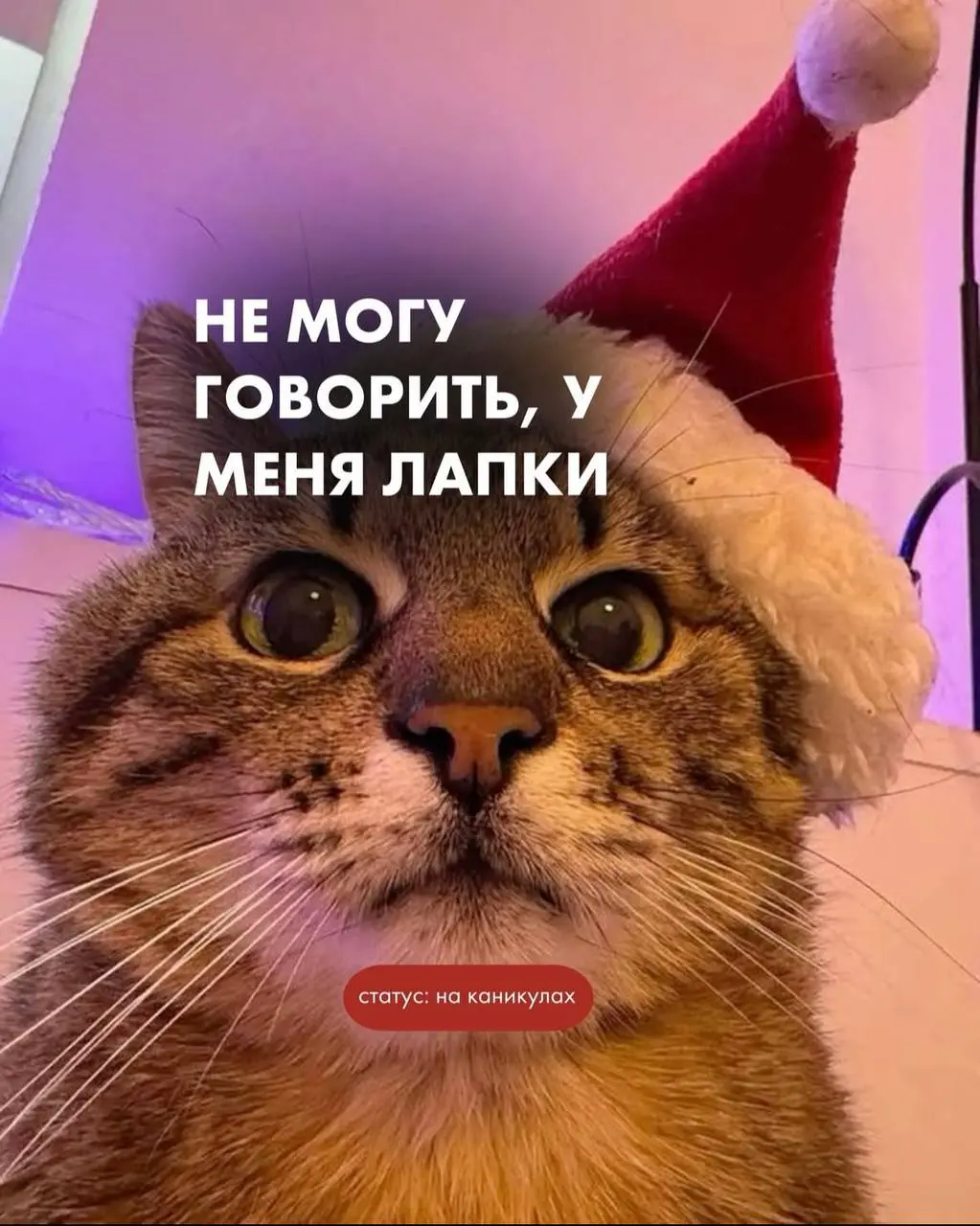 часть 2 | Сетка — социальная сеть от hh.ru