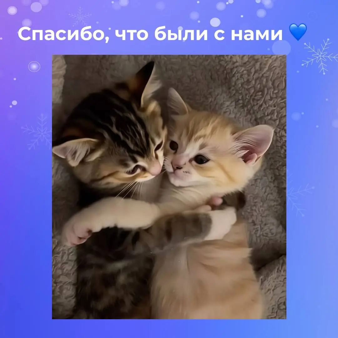 Итоги года в Pressfeed | Сетка — социальная сеть от hh.ru