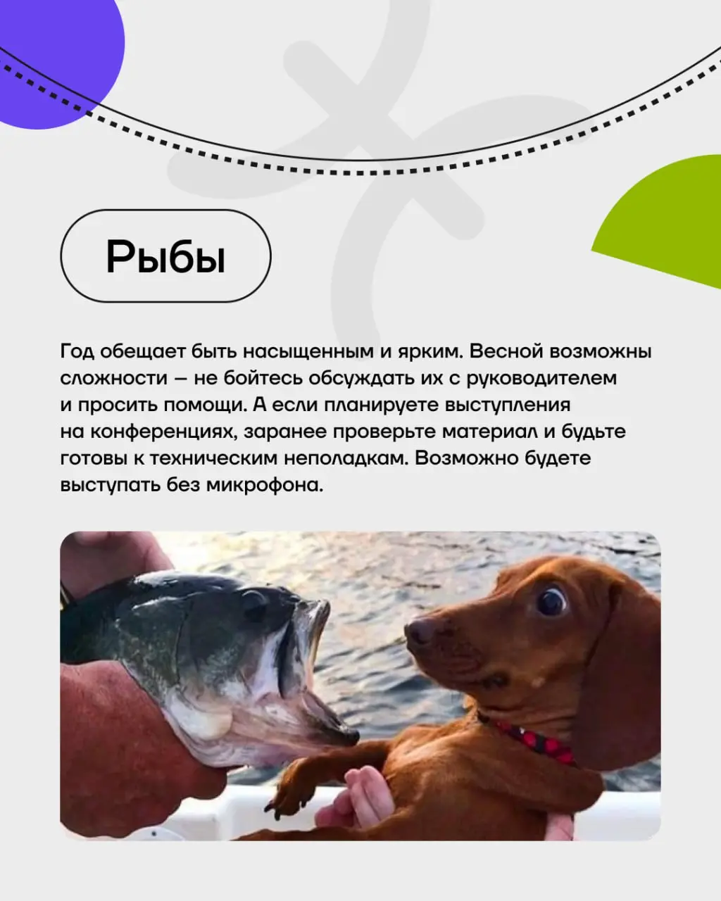 Астрология для айтишников: когда дедлайны определяют знаки судьбы!
Дисклеймер:
Этот пост носит юмористический характер, не отражает официальную позицию ГК и не является руководством к принятию решений... | Сетка — социальная сеть от hh.ru