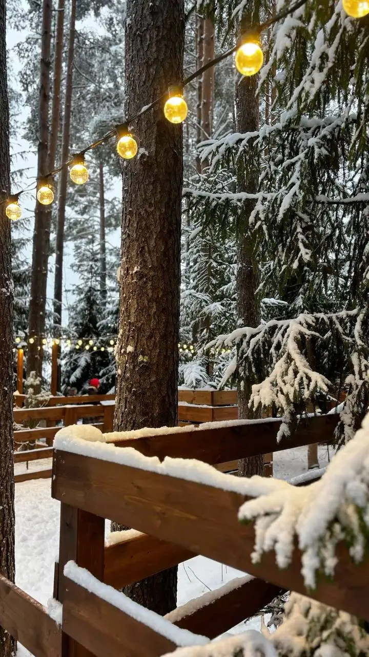 🎄Новый год в парке «Северное Тушино»
31 декабря с 21:00 до 03:00
В программе:
🍊21:00-22:00 — Зажигательный DJ-сет с лучшими новогодними хитами
🍊21:00-00:00 — Моментальная лотерея
🍊22:00-22:40 — нового... | Сетка — социальная сеть от hh.ru