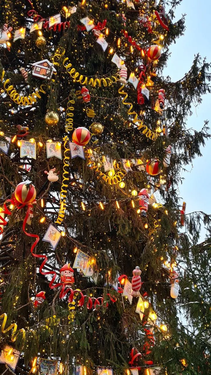 🎄Новый год в парке «Северное Тушино»
31 декабря с 21:00 до 03:00
В программе:
🍊21:00-22:00 — Зажигательный DJ-сет с лучшими новогодними хитами
🍊21:00-00:00 — Моментальная лотерея
🍊22:00-22:40 — нового... | Сетка — социальная сеть от hh.ru