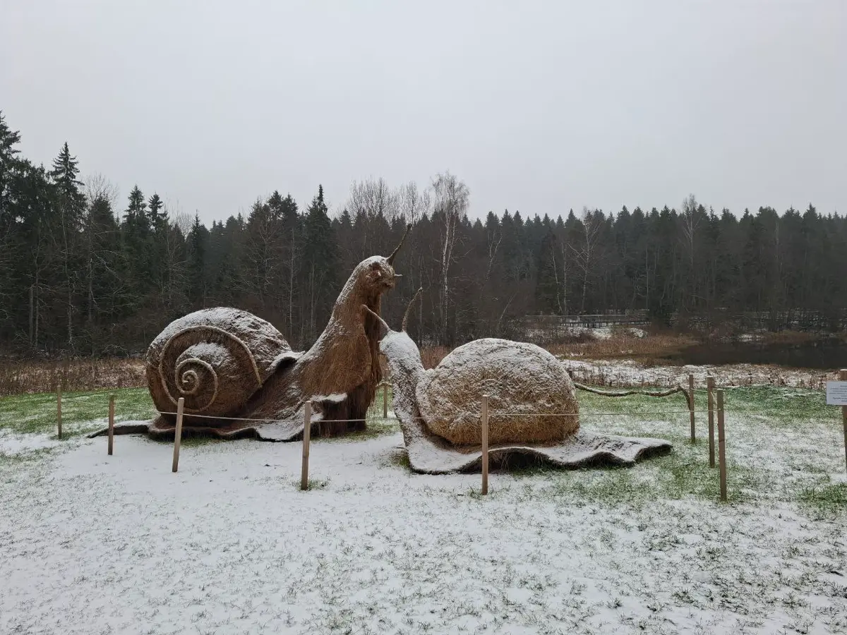 Легкий поход с праздничной фотосессией | Сетка — социальная сеть от hh.ru