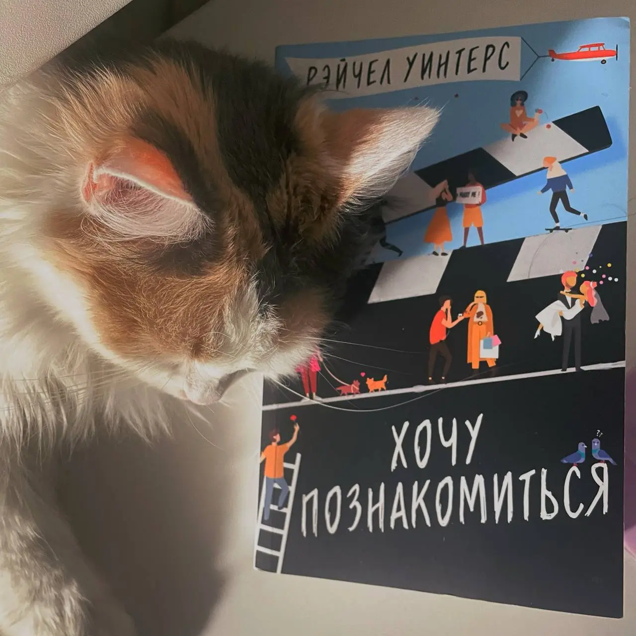 Книга, с которой я вхожу в Новый год - не про психологию, не про работу, а про любовь | Сетка — социальная сеть от hh.ru