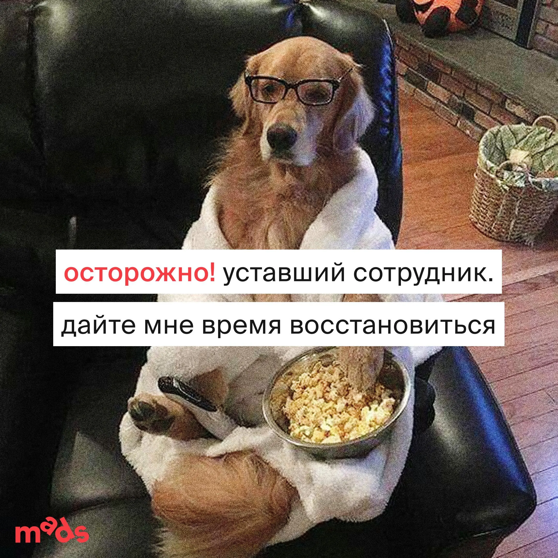 Просьба не беспокоить до 12 января ⛔️
Итоги года подвели? Самое время дать коллегам понять, что вы не очень рады рабочим сообщениям | Сетка — социальная сеть от hh.ru