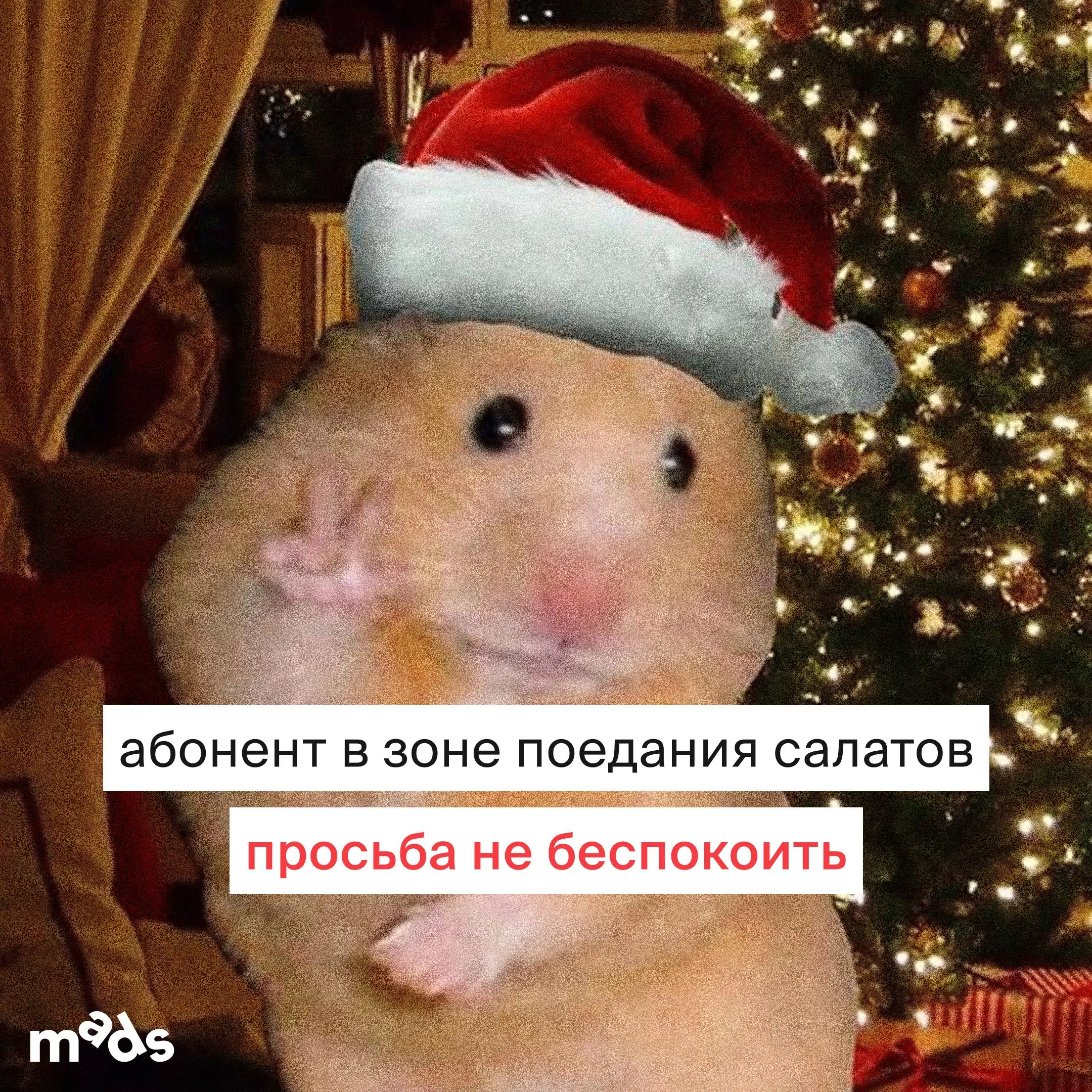 Просьба не беспокоить до 12 января ⛔️
Итоги года подвели? Самое время дать коллегам понять, что вы не очень рады рабочим сообщениям | Сетка — социальная сеть от hh.ru