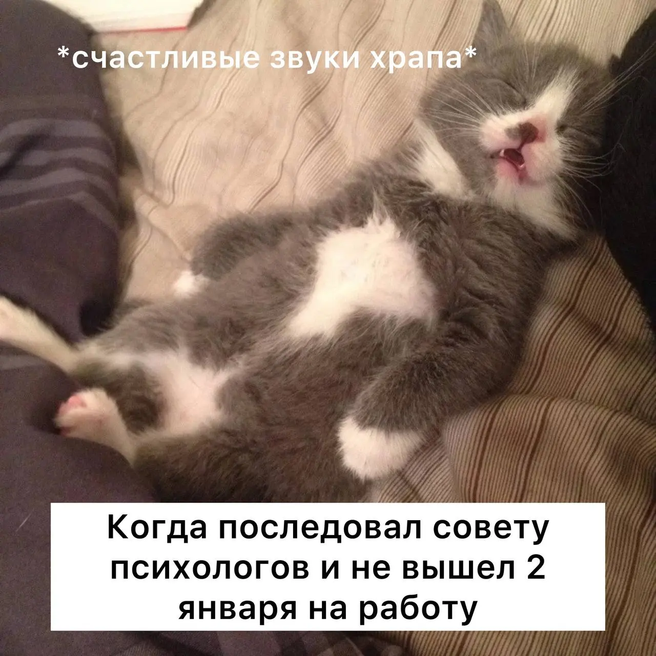 2 января лучше на работу не выходить, — психологи.
Раннее возвращение в офис приведет к выгоранию, переутомлению и депрессии | Сетка — социальная сеть от hh.ru