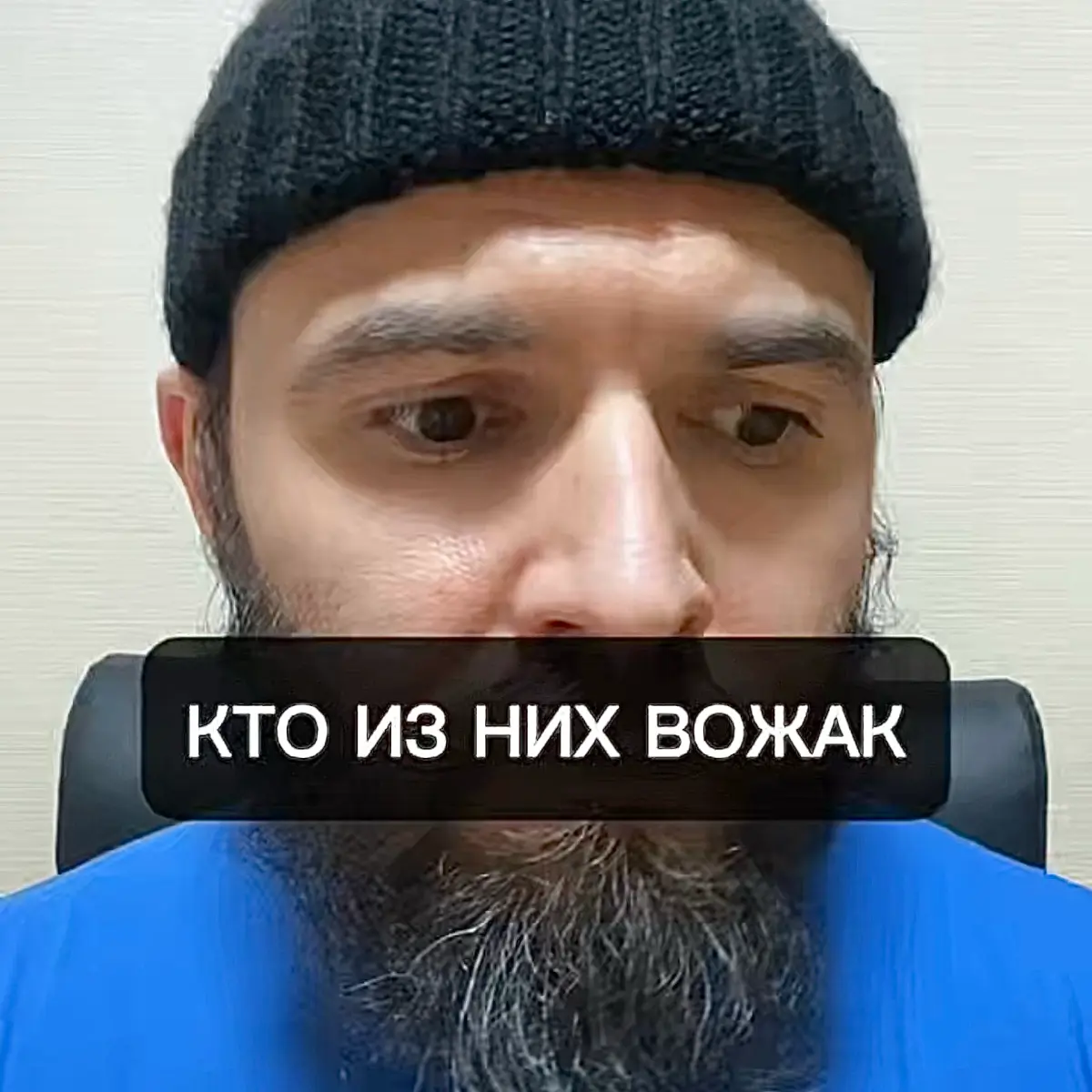 Почему некоторые женщины чаще выбирают именно альфа-самцов. Скоро в логово. | Сетка — социальная сеть от hh.ru