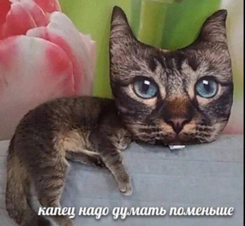 День 120
Работы сегодня было мало, поэтому можно сказать, что каникулы начались после полудня. К вечеру от безделья затеяла перестановку: двигала все несколько раз, а потом вернула все обратно | Сетка — социальная сеть от hh.ru