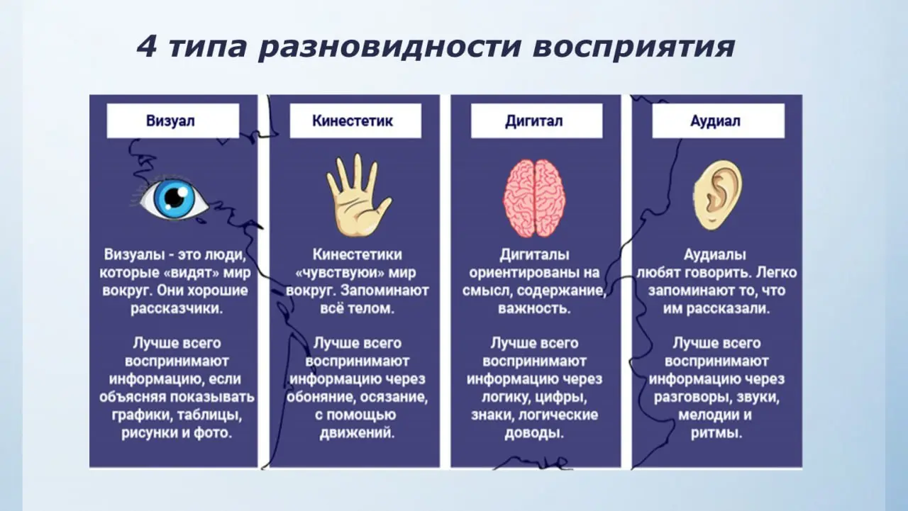 Люди различаются способами восприятия информации и взаимодействия с окружающим миром.
Эта тема встала передо мной неспроста. Совсем недавно я поняла, что мой внук относится к типу кинэстетиков | Сетка — социальная сеть от hh.ru