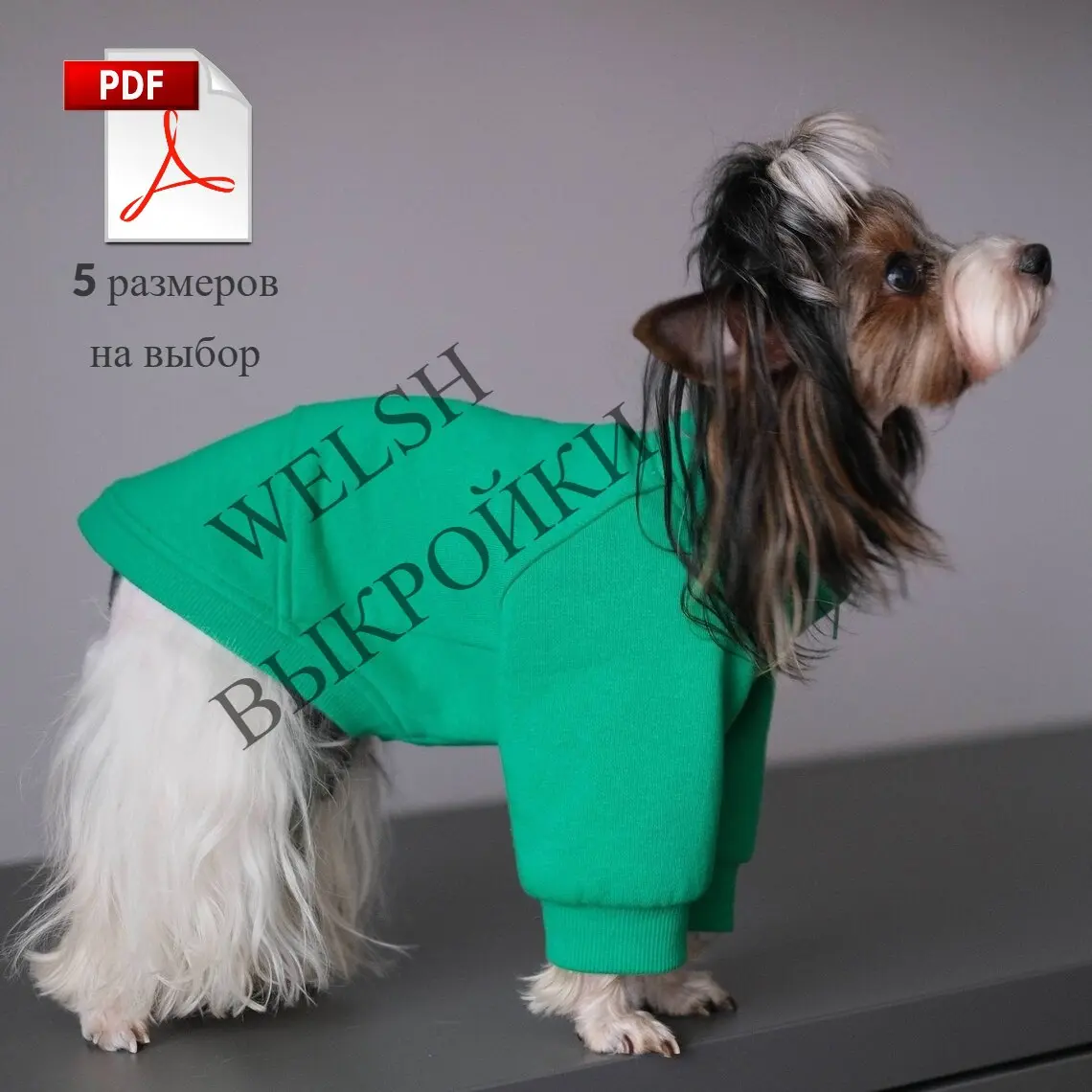 ВЫКРОЙКА СВИТШОТА НА СОБАКУ ПОРОДЫ ЙОКШИРСКИЙ ТЕРЬЕР 🐕‍🦺✂️👚
(Выкройка свитшота подойдёт на собак породы: 🐾 йокширский терьер, 🐶 китайская хохлататая, 🎀 карликовый пудель, 😊 чихуахуа, 💖 тойтерьер, 🦊 шп... | Сетка — социальная сеть от hh.ru