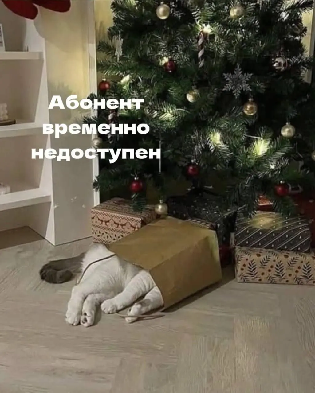 У кого сегодня так ? 😂😘
#Юмор@poldner
#Коты@poldner | Сетка — социальная сеть от hh.ru
