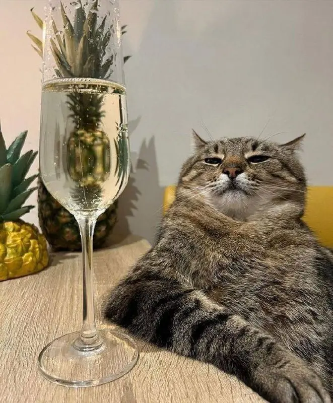 🥂День шампанского отмечается сегодня
🔥— нравится такой праздник
📲Подпишитесь на Вдвижении
#бесплатно
В этом посте были ссылки, но мы их удалили по правилам Сетки | Сетка — социальная сеть от hh.ru