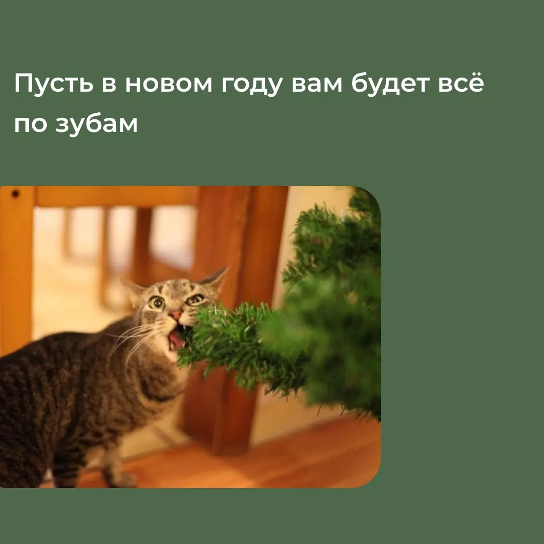 Шесть самых важных пожеланий на 2026 🎉
С новым годом, коллеги! | Сетка — социальная сеть от hh.ru