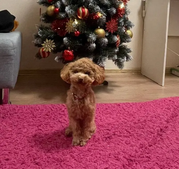 🔔Дорогие друзья!
2025 год подходит к концу. Он был разный: вдохновляющий, нервный, но точно не скучный | Сетка — социальная сеть от hh.ru