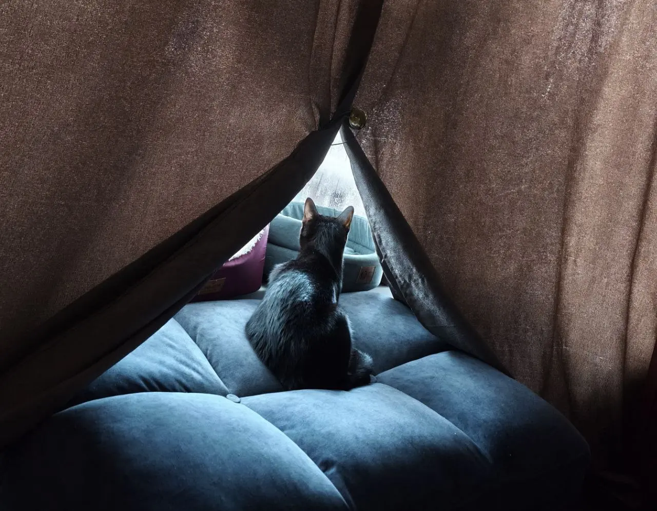 Зевс ждёт Дела Мороза 🎅
#Коты@poldner | Сетка — социальная сеть от hh.ru
