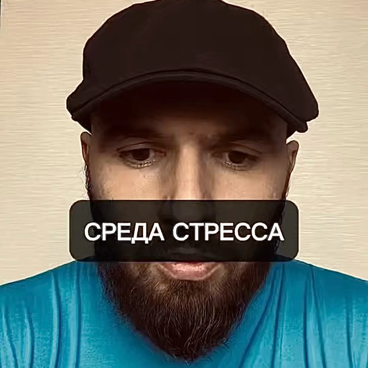 Логово. Аудиозапись 3.8. Переходи. | Сетка — социальная сеть от hh.ru