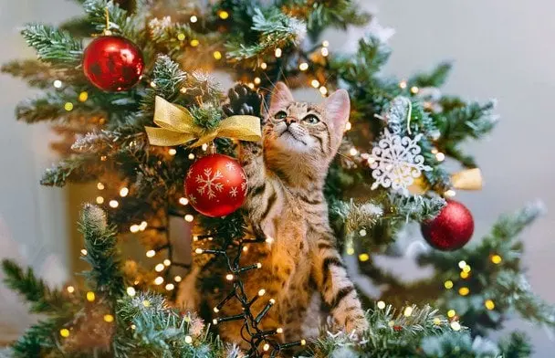 Друзья, поздравляю вас с наступающим Новым годом! 🎄
Пусть 2026 год принесёт ясность в решениях, смелость выходить за рамки привычного и энергию доводить идеи до реальных крутых результатов | Сетка — социальная сеть от hh.ru