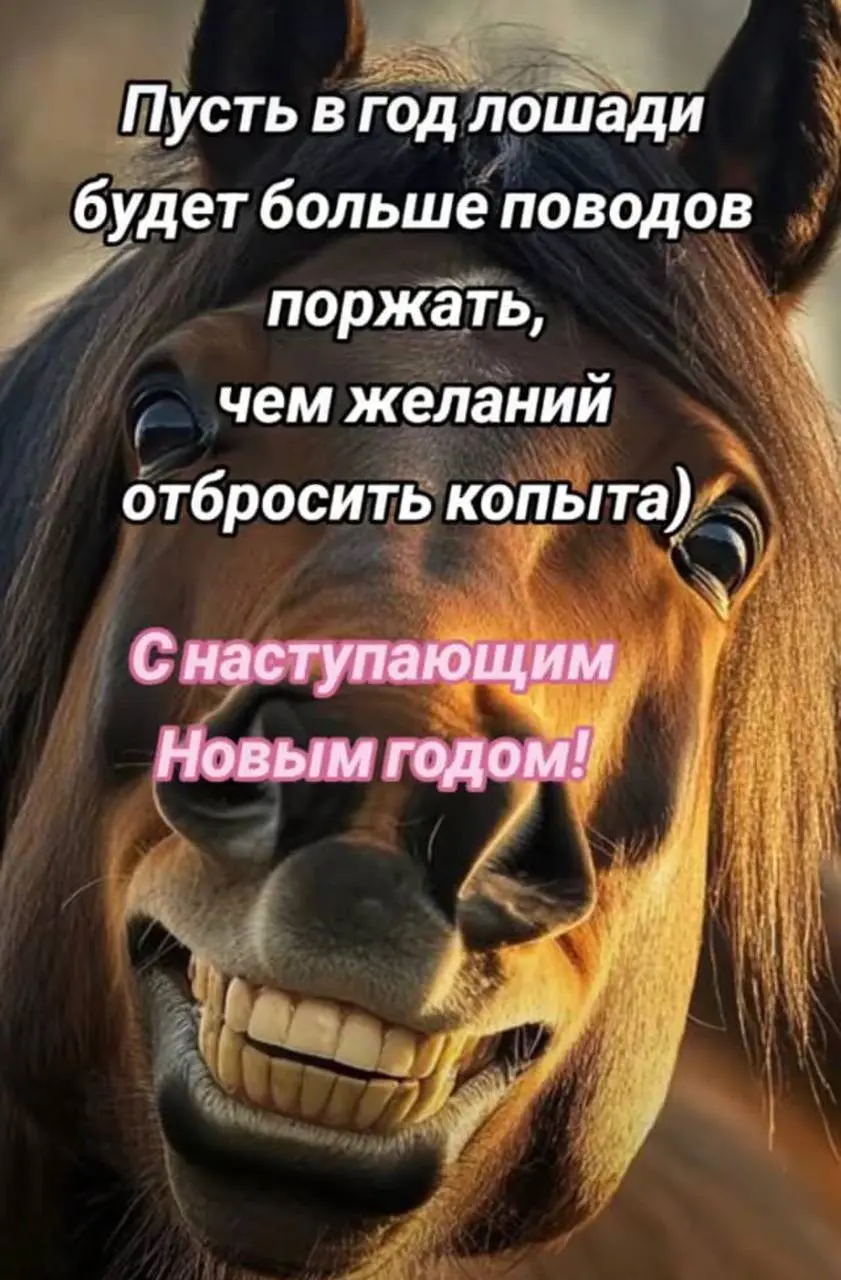 Доброе предновогоднее)
🍊🍊🍊
с наступающим! Желаю чтобы в новом году достигались цели и реализовывались проекты | Сетка — социальная сеть от hh.ru