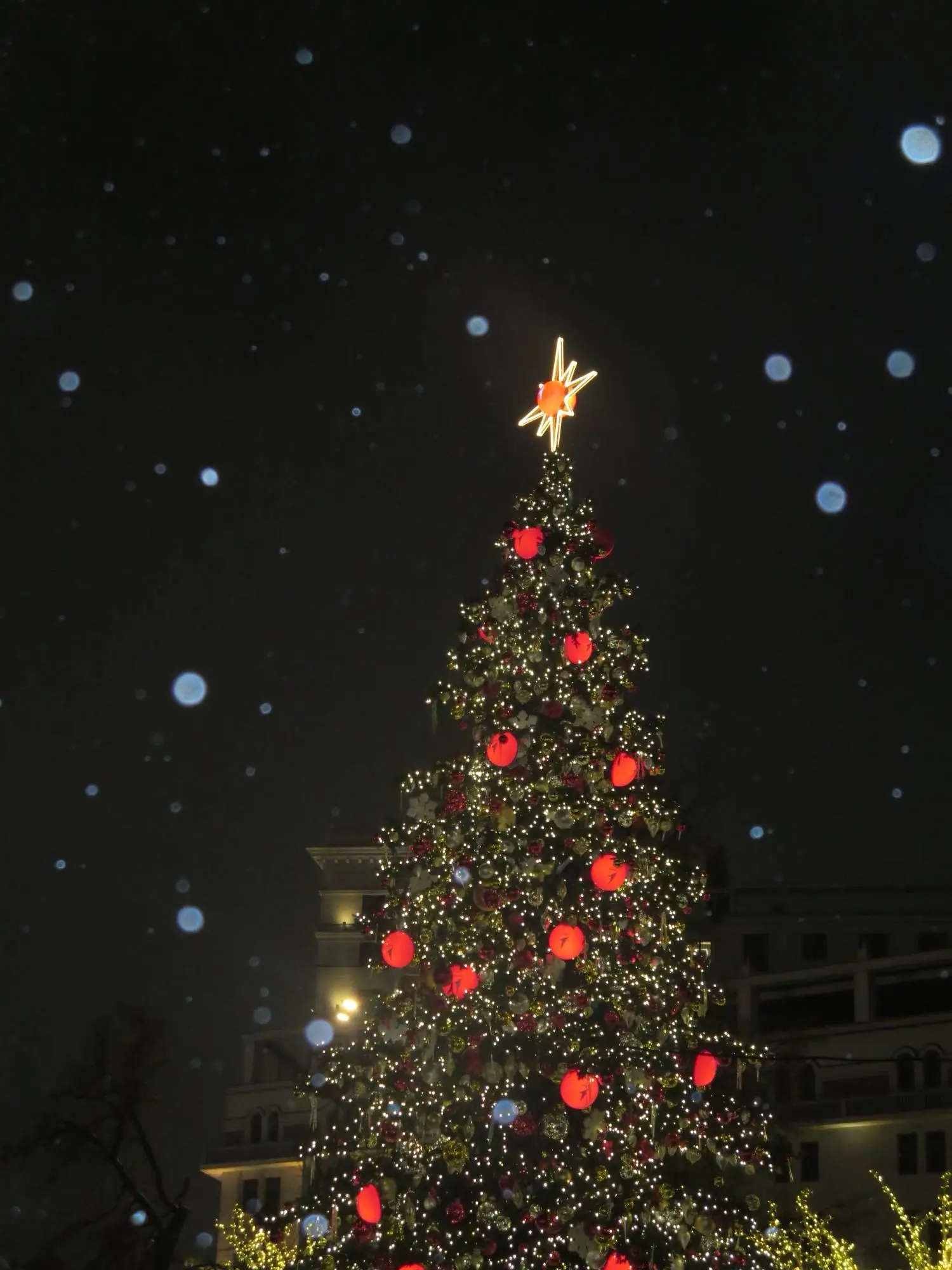 Hi guys! 🫣
I’m really really REALLY sorry for my absence 😭 I’ve had a lot on my plate since October and truly didn’t have any time for the posts 😔
Anyway, I came here to wish you a very Happy New Year... | Сетка — социальная сеть от hh.ru