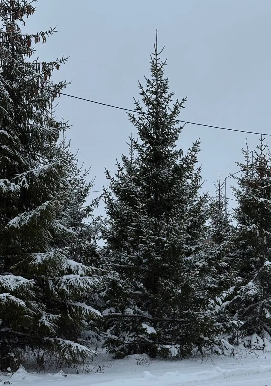 Друзья, с наступающим Новым годом 🎄❤️
Спасибо вам за доверие, и выбор меня на каждом этапе поиска дома и квартиры мечты!
Пусть в новом году у каждого сбудутся мечты!
Желаю, чтобы все ваши планы на пер... | Сетка — социальная сеть от hh.ru