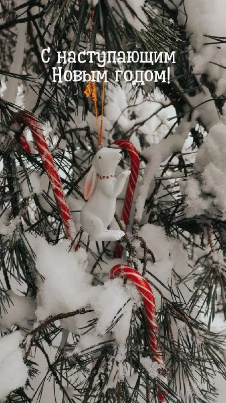 С наступающим Новым годом!🤩
Рада, что в этом году у меня появился этот канал и вы разделили со мной эту радость! Благодарю за внимание и поддержку ❤️
Пусть Новый год принесет физическое и психологичес... | Сетка — социальная сеть от hh.ru