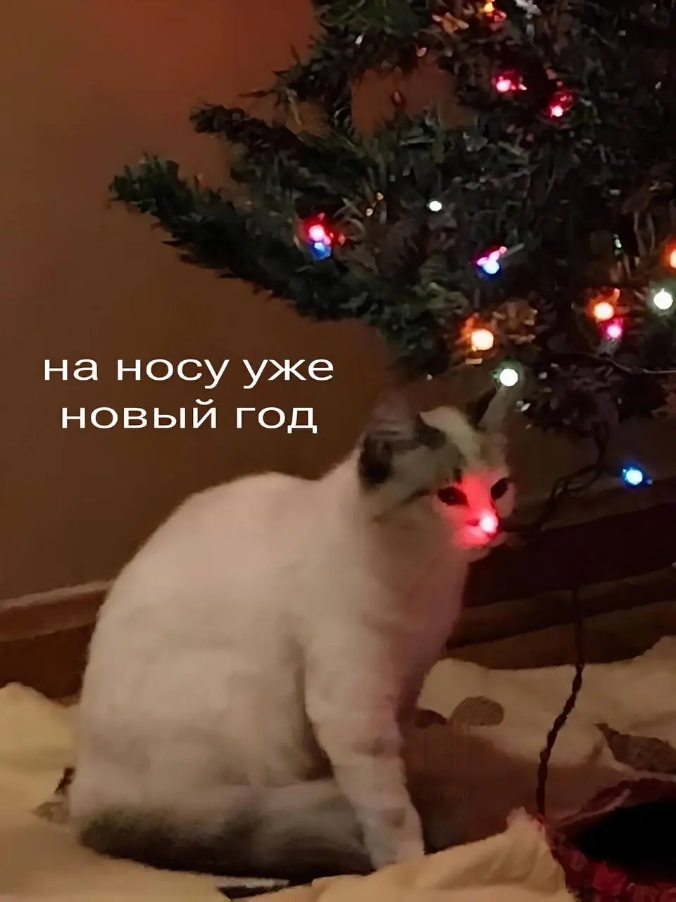 #котизаи С наступающим новым 2026 годом! ✨🥳✨
Каким бы ни был следующий год, сложным, странным, неопределенным — знайте, мы справимся ✊
Даже в тяжелые времена можно найти под собой опору | Сетка — социальная сеть от hh.ru