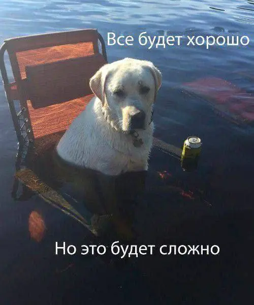 играет песня «прорвемся, опера!»
Всех с Новым Годом! | Сетка — социальная сеть от hh.ru
