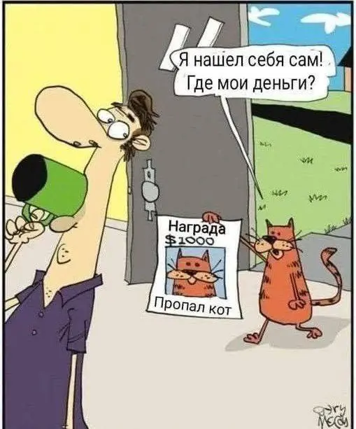 Интересно, сколько же рыбов можно на это купить 😂😂😂
#Юмор@poldner #Коты@poldner | Сетка — социальная сеть от hh.ru
