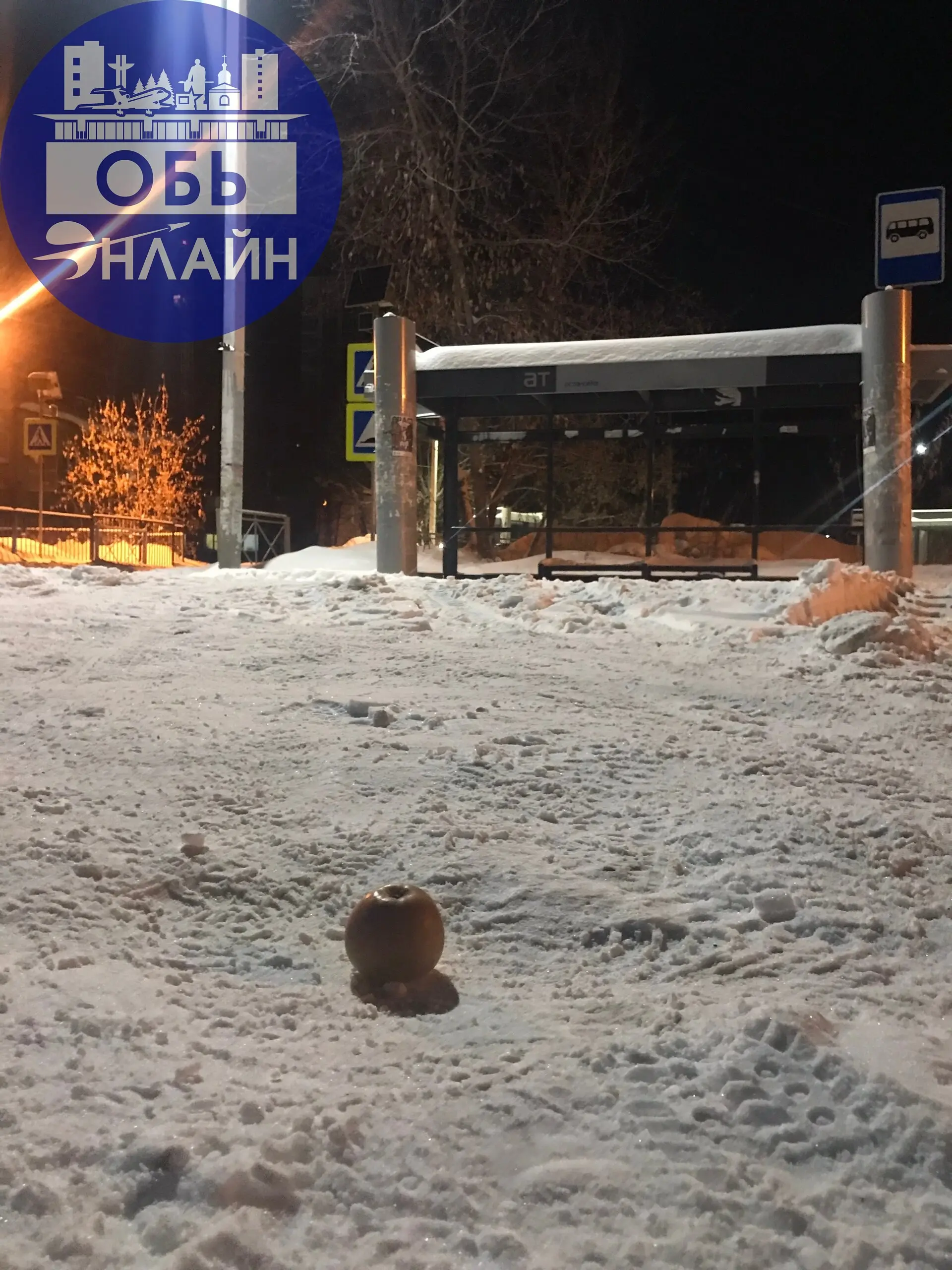 ↗ Яблоко на снегу…Кто оставил на остановке «Музыкальная школа»?
vk.ru
Подробнее на https://vk.com/ob.gorod
#городобь #городобьонлайн #толмачево | Сетка — социальная сеть от hh.ru