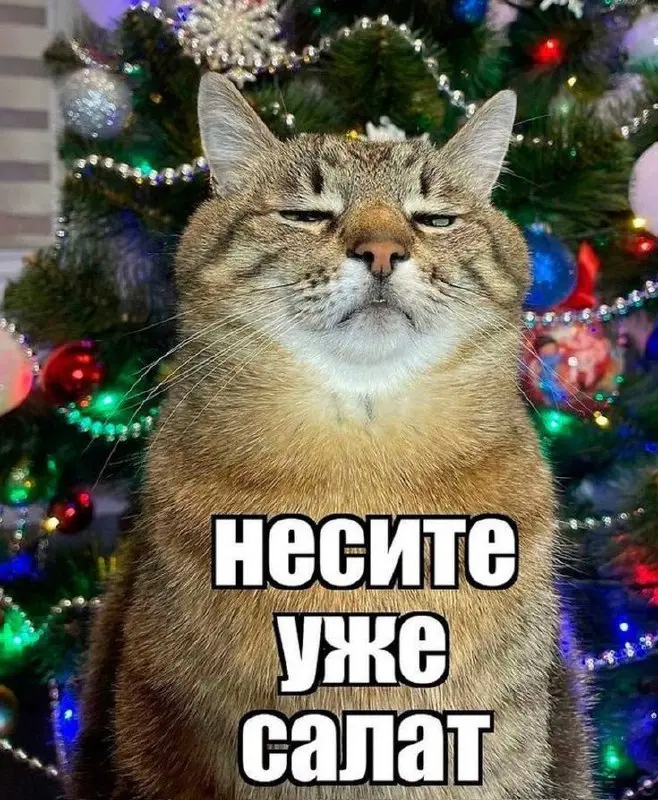 С первым днем 2026, друзья!🎆 | Сетка — социальная сеть от hh.ru