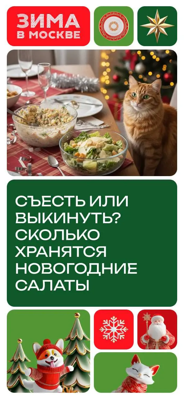 1 января салатики на завтрак, обед и ужин😅
Не забывайте про сроки хранения🥗
📲Подпишитесь на Вдвижении
#бесплатно
В этом посте были ссылки, но мы их удалили по правилам Сетки | Сетка — социальная сеть от hh.ru