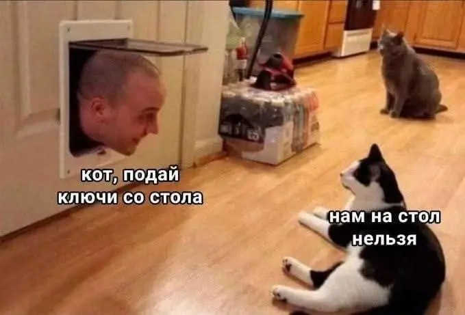 Люди нередко попадают в ловушку собственных запретов. | Сетка — социальная сеть от hh.ru