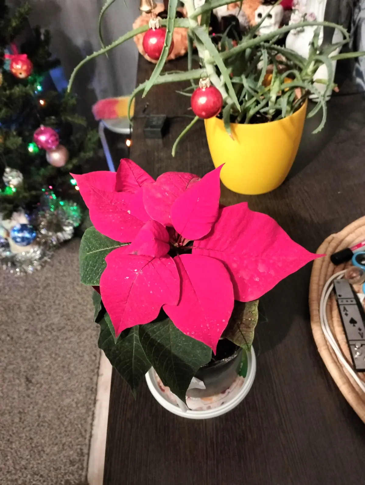 🥱🎄☺️ | Сетка — социальная сеть от hh.ru