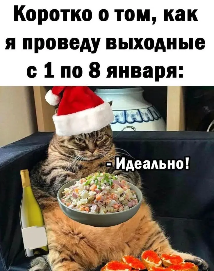 У нас есть ваше фото | Сетка — социальная сеть от hh.ru