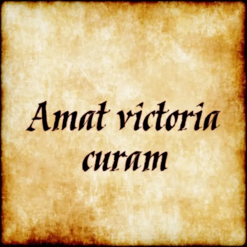 Евгений Чарнопис | Сетка — социальная сеть от hh.ru