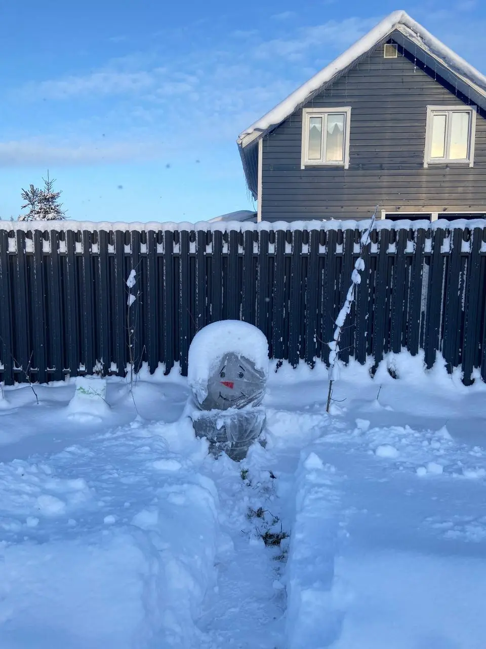 А кто-нибудь вообще обычно помнит 1 января?)
Надеюсь, у вас тоже он был красивым🤩
#offline #realLife #НовыйГод #житьэтужизнь | Сетка — социальная сеть от hh.ru
