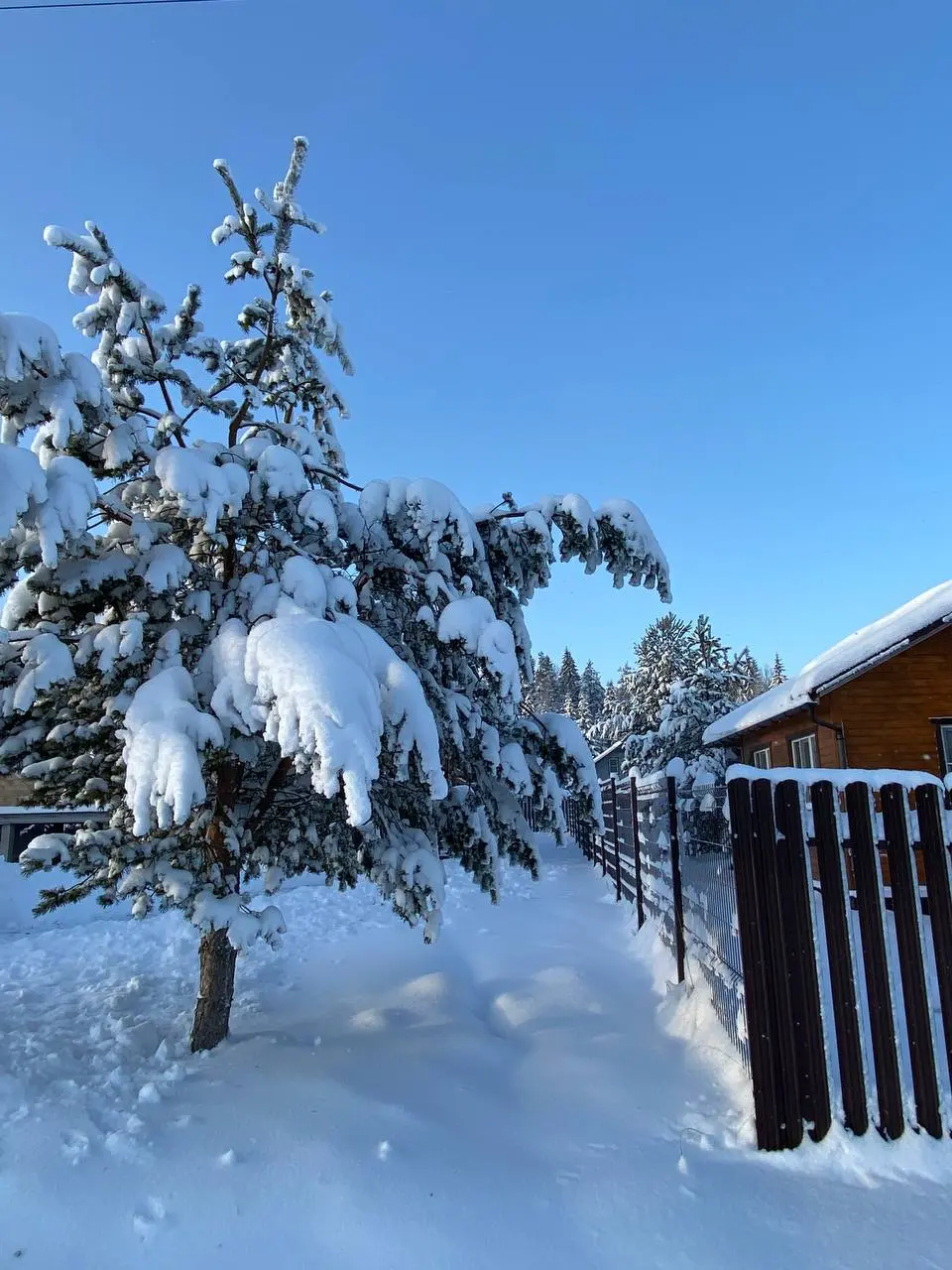 А кто-нибудь вообще обычно помнит 1 января?)
Надеюсь, у вас тоже он был красивым🤩
#offline #realLife #НовыйГод #житьэтужизнь | Сетка — социальная сеть от hh.ru