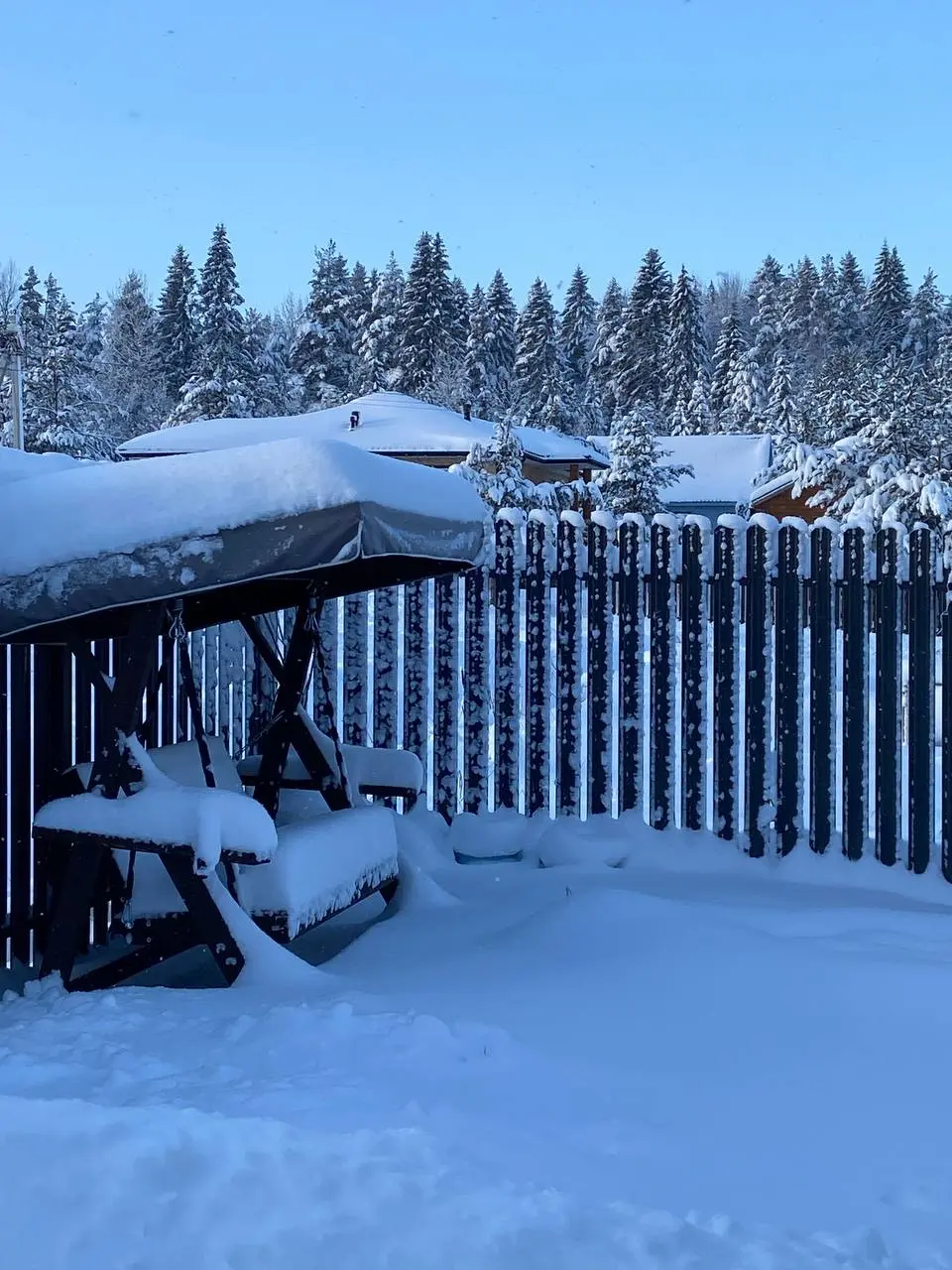 А кто-нибудь вообще обычно помнит 1 января?)
Надеюсь, у вас тоже он был красивым🤩
#offline #realLife #НовыйГод #житьэтужизнь | Сетка — социальная сеть от hh.ru