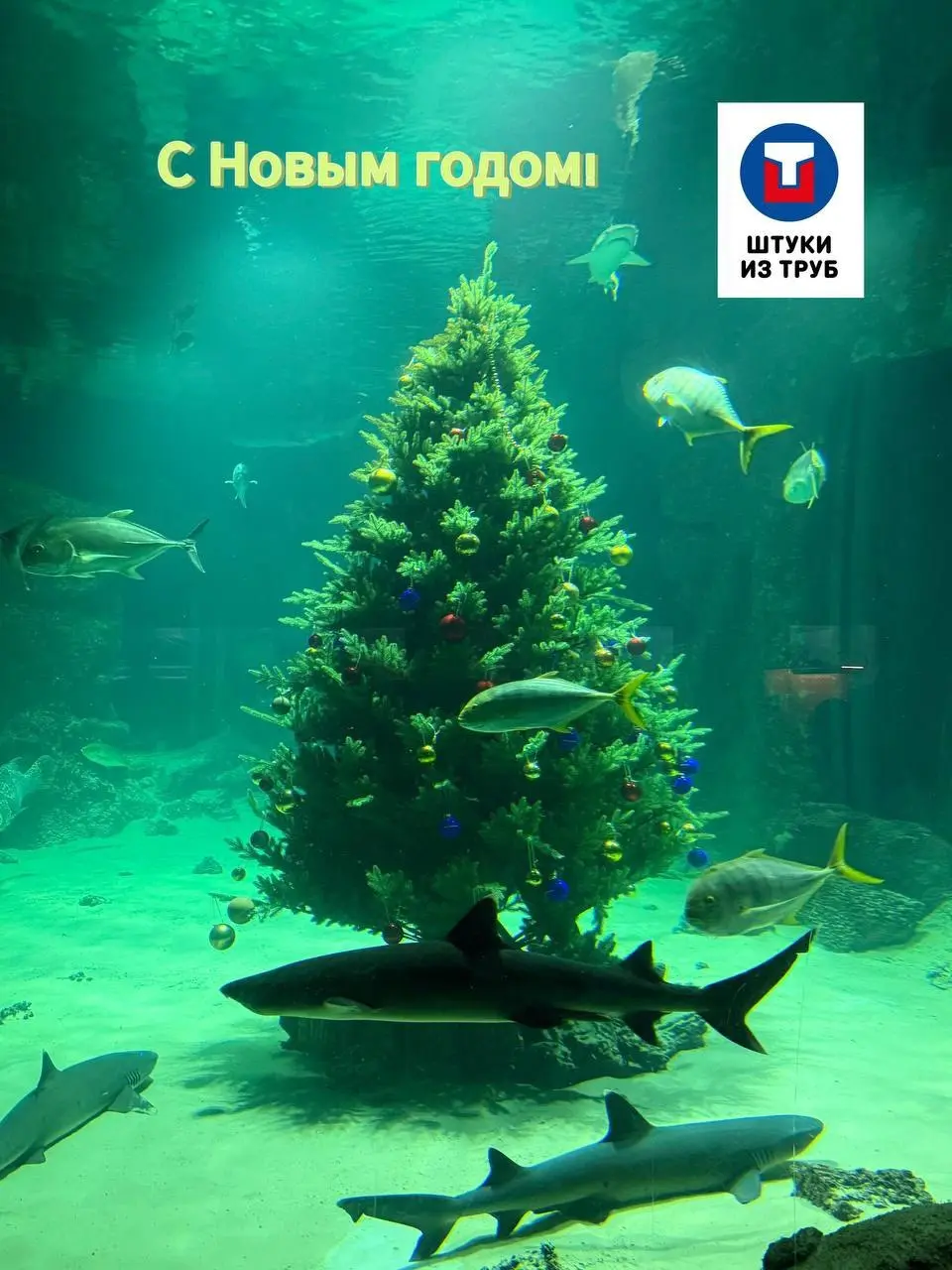 С наступившим! | Сетка — социальная сеть от hh.ru