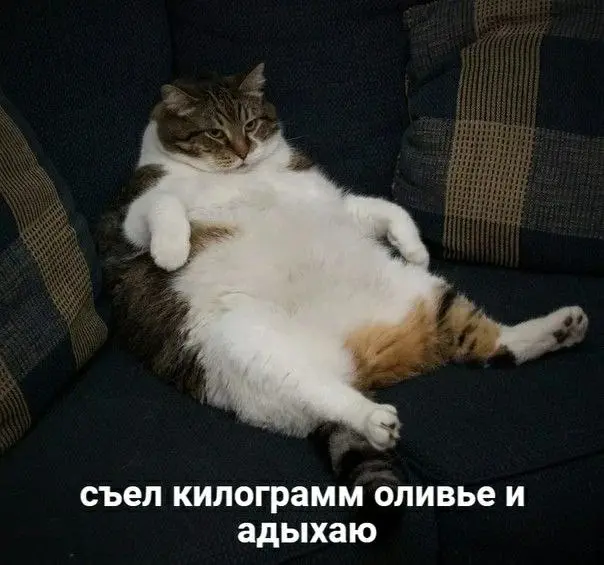 С Новым годом! ✨
Самое время начать с чистого листа и найти работу на GdeRabota.ru
Все вакансии → https://gderabota.ru/вакансии
#работа #GdeRabota #вакансии | Сетка — социальная сеть от hh.ru
